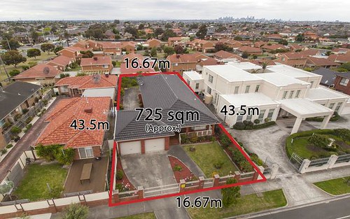 17 Amis Cr, Avondale Heights VIC 3034
