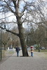 Wanderung Treptower Park - Alt-Köpenick • <a style="font-size:0.8em;" href="http://www.flickr.com/photos/25397586@N00/33010185230/" target="_blank">View on Flickr</a>