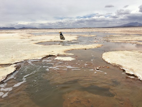 Une rivière souterraine affleure à certains endroits du désert