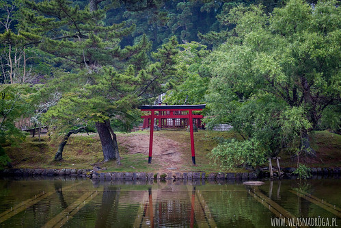 Park niedaleko świątyni Todaiji