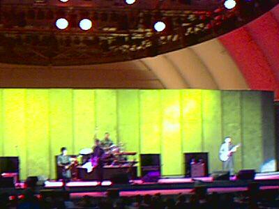 the shins play the hollywood bowl