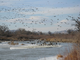 Nebraska Waterfowl Hunting 23