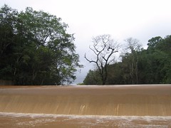 Kollibacchalu Dam -Malenadu Heavy Rain Effects Photography By Chinmaya M.Rao (81)