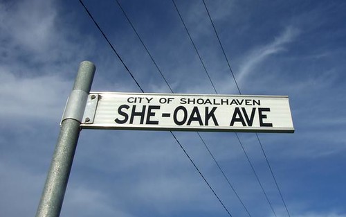 Lot 125/6 She-Oak Avenue, Ulladulla NSW 2539
