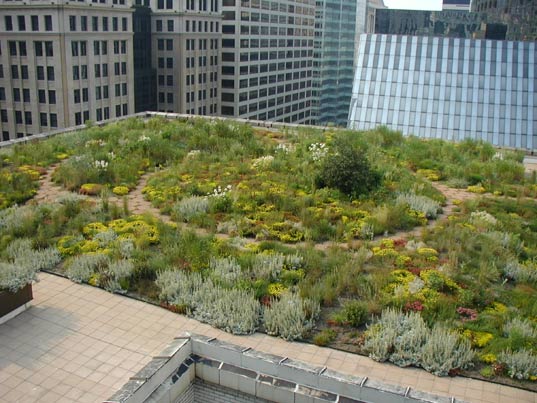 Green rooftops, all over the city.
