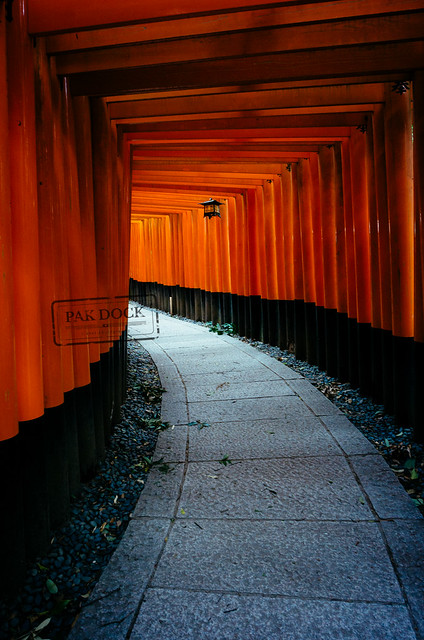 Torii path at Fushimi Inari. Japan