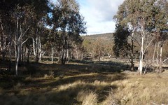 Lot 128, Ashvale Road, Adaminaby NSW