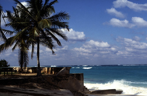 Bahamas 1988 (034)  New Providence: Love Beach • <a style="font-size:0.8em;" href="http://www.flickr.com/photos/69570948@N04/22927634199/" target="_blank">Auf Flickr ansehen</a>