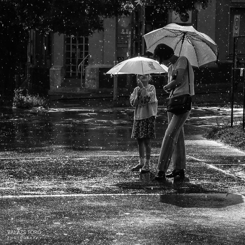 Summer Rain (BW)<br/>© <a href="https://flickr.com/people/44827474@N04" target="_blank" rel="nofollow">44827474@N04</a> (<a href="https://flickr.com/photo.gne?id=21373227884" target="_blank" rel="nofollow">Flickr</a>)