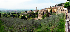Assisi (42)