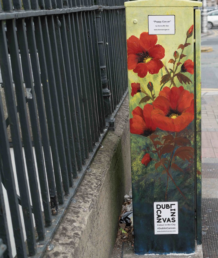POPPY CORNER BY DONNA MC GEE [Fitzwilliam Street - Merrion Square South] REF-10805497