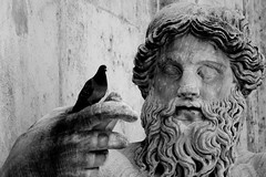 Rome - Statue and Bird