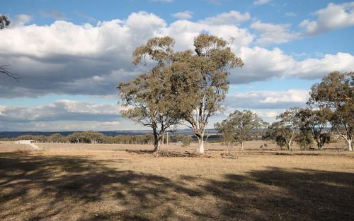 Lot 3 Rose Hill Fernhill Road, Inverell NSW