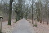 Wanderung Treptower Park - Alt-Köpenick • <a style="font-size:0.8em;" href="http://www.flickr.com/photos/25397586@N00/33352768716/" target="_blank">View on Flickr</a>