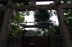 Namba Yasaka Shrine Osaka closed
