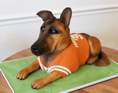 Texans jersey German Shepard dog cake
