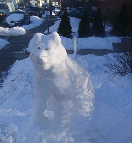snow cat II