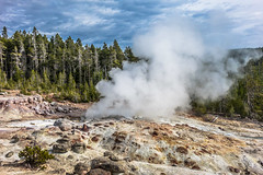 The Steamboat Geyser; Yellowstone NP