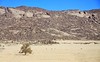 Devine inner voice of the desert. To hear it, we need to be in solitude ... #Sahara #meditation #yoga #tree #acacia #mountain #sky #desert #nature #landscape #gratitude #natgeotravel #travel #travelgram #instatravel #nomad #wanderlust #voyage #roadtrip #t