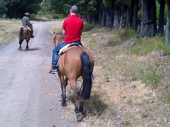 Horse riding at Posada Salentein