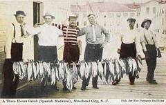 Anglų lietuvių žodynas. Žodis spanish mackerel reiškia ispanijos skumbrės lietuviškai.