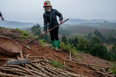 Vietnam: climate-smart village building resilience