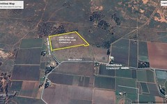 Lot, 167 Peppertree Lane, Coomealla NSW