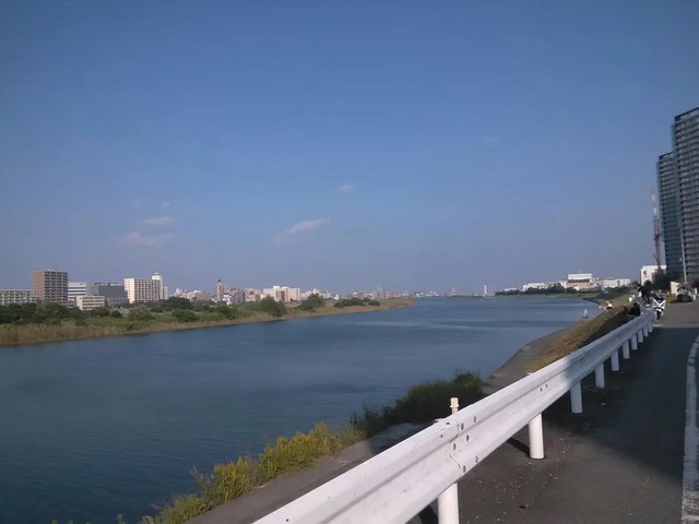河川側の景色。