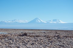 Salt Flat at the Los Flamencos National Reserve