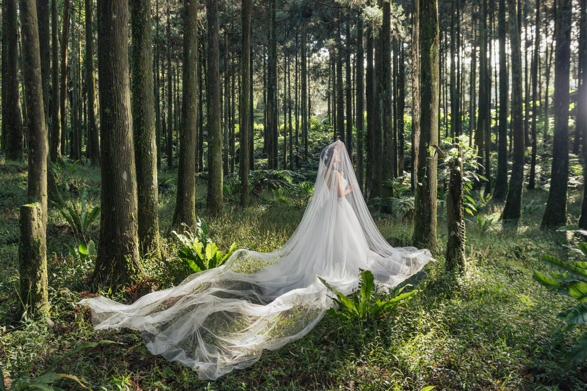 Donfer Photography, EASTERN WEDDING, 自主婚紗, 自助婚紗, 婚紗影像, 熊空茶園, 藝術婚紗, 東法