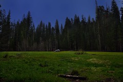 A Setting in My Mind (Sequoia National Park)