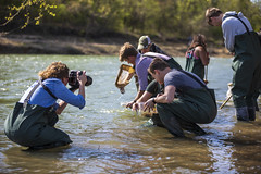 0331 Ahna photographs UNT students doing water research at LLELA