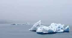 Icebergs break off Breidamerkurjokoll Glacier and float out to sea via Glacier Lagoon