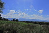 20120921 24 226 Jakobus Pyrenen Wolken Wald Bume Feld