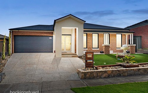 11 Discovery Dr, Tarneit VIC 3029