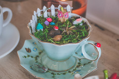 Seasonal Tea Society - Spring Tea 2018