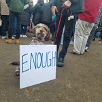March for Our Lives by OSC Admin