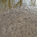 Mud ripples