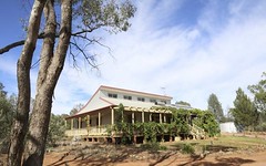 443 'Forest Hut Estate' Merungle Hill Road, Leeton NSW