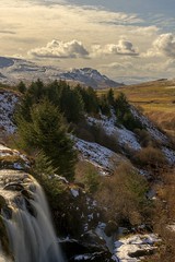 Loup of Fintry