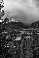 Views of the Bow River and Valley While Hiking the Tunnel Mountain Trail (Black & White)