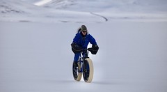 A good afternoon ride on a high plateau near Laugarfell, East Iceland