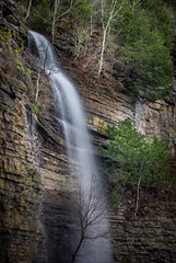 A Rainfall Waterfall
