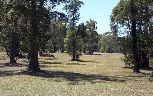 LOT 8 ADVANCE RD, Sussex Inlet NSW