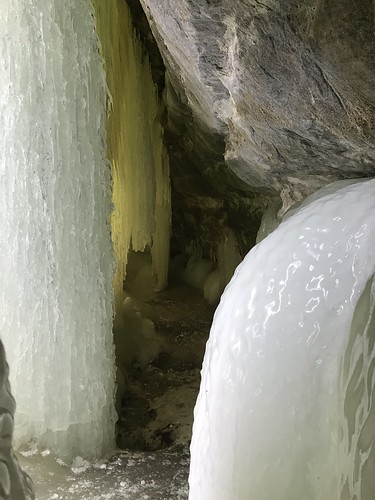 Dog Sledding & Ice Caves, March 2018