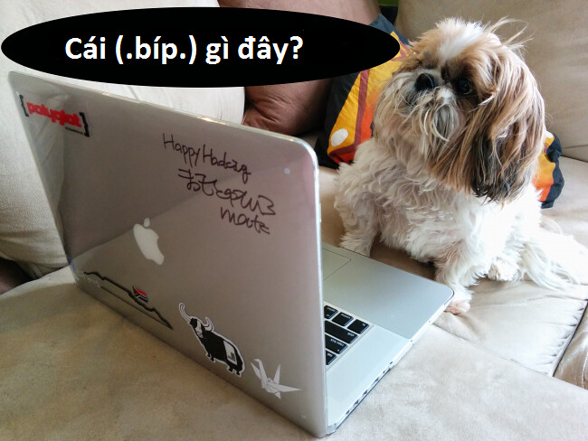 android_fragments_003_canine_coding-650x488