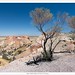 Australian Outback - The Painted Desert