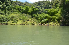 Navua River & Village Tour January 2016 DSC_4874