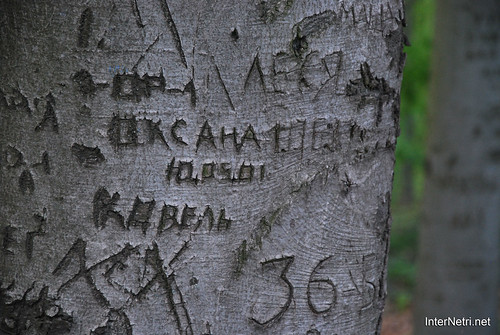 Ботанічний сад імені Гришка Буковий гай InterNetri  Ukraine 106