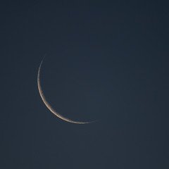 20180517_0462_7D2-840 The Moon of Ramadan (137/365)